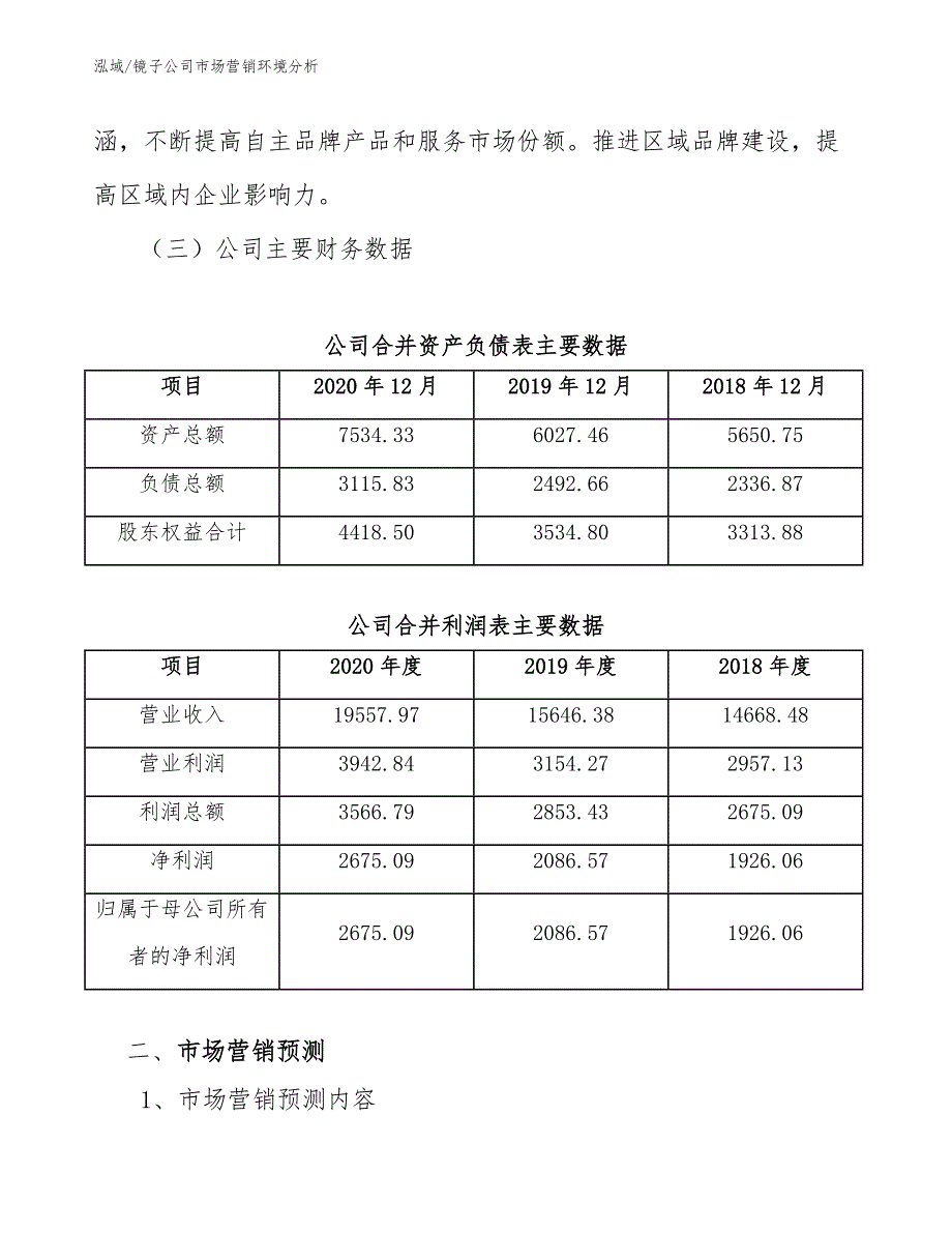 镜子公司市场营销环境分析（参考）_第4页