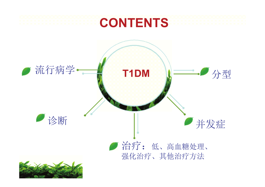 儿童1型糖尿病诊断治疗课件_第2页