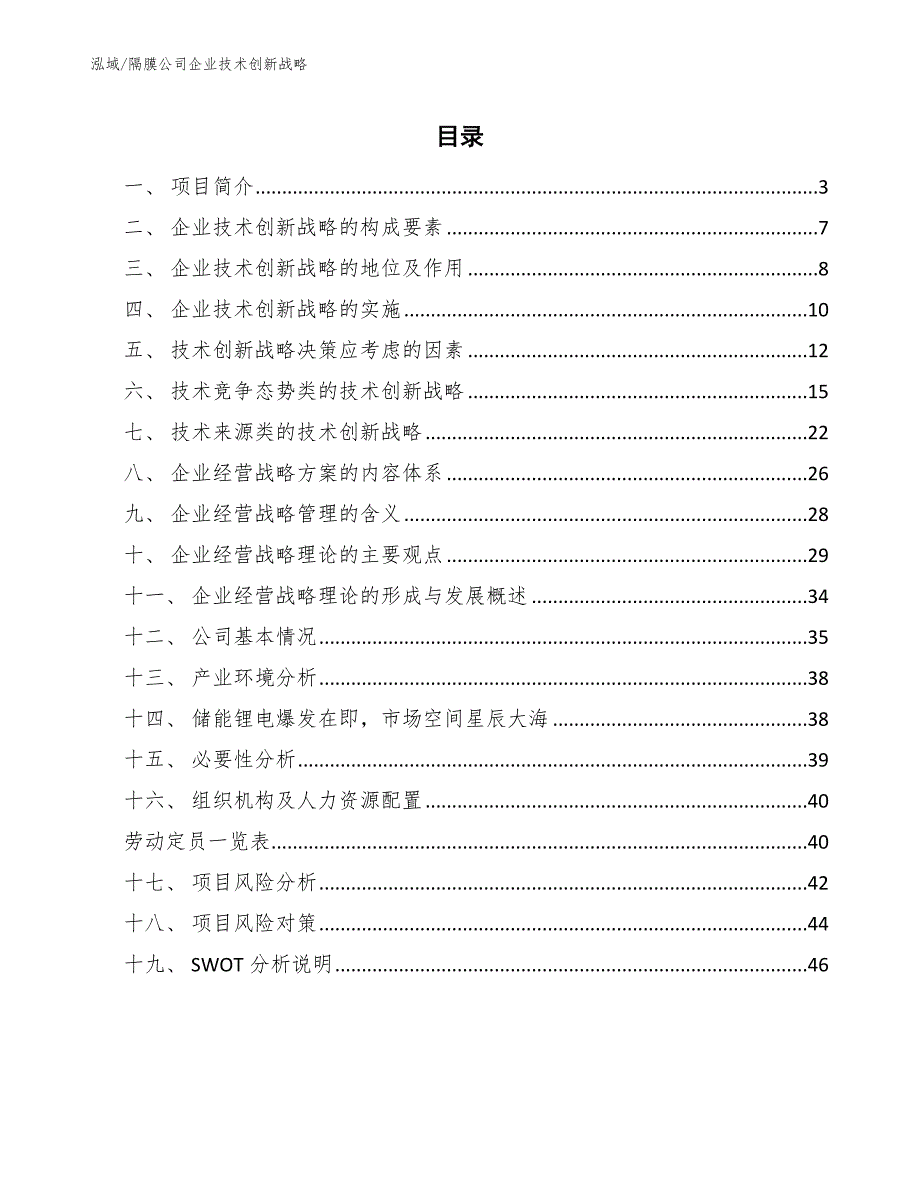 隔膜公司企业技术创新战略【参考】_第2页