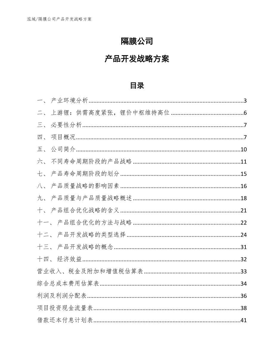 隔膜公司产品开发战略方案_第1页