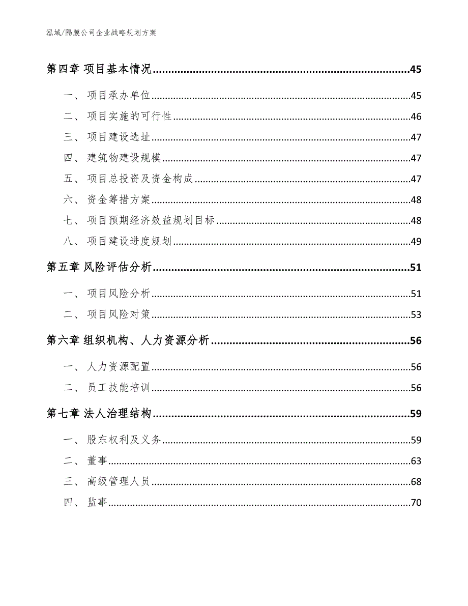 隔膜公司企业战略规划方案_第3页