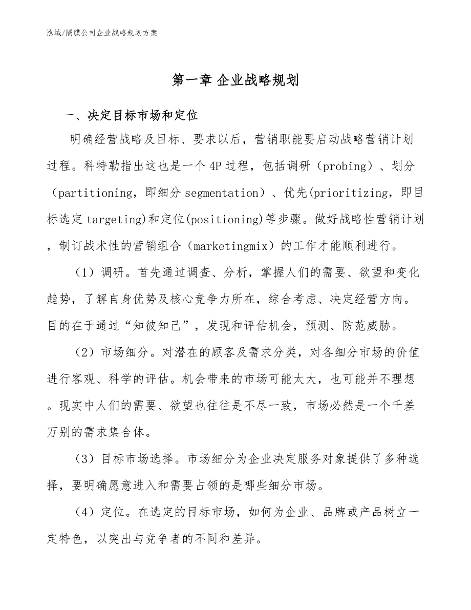 隔膜公司企业战略规划方案_第4页