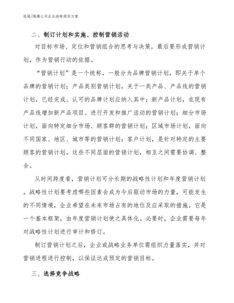 隔膜公司企业战略规划方案_第5页