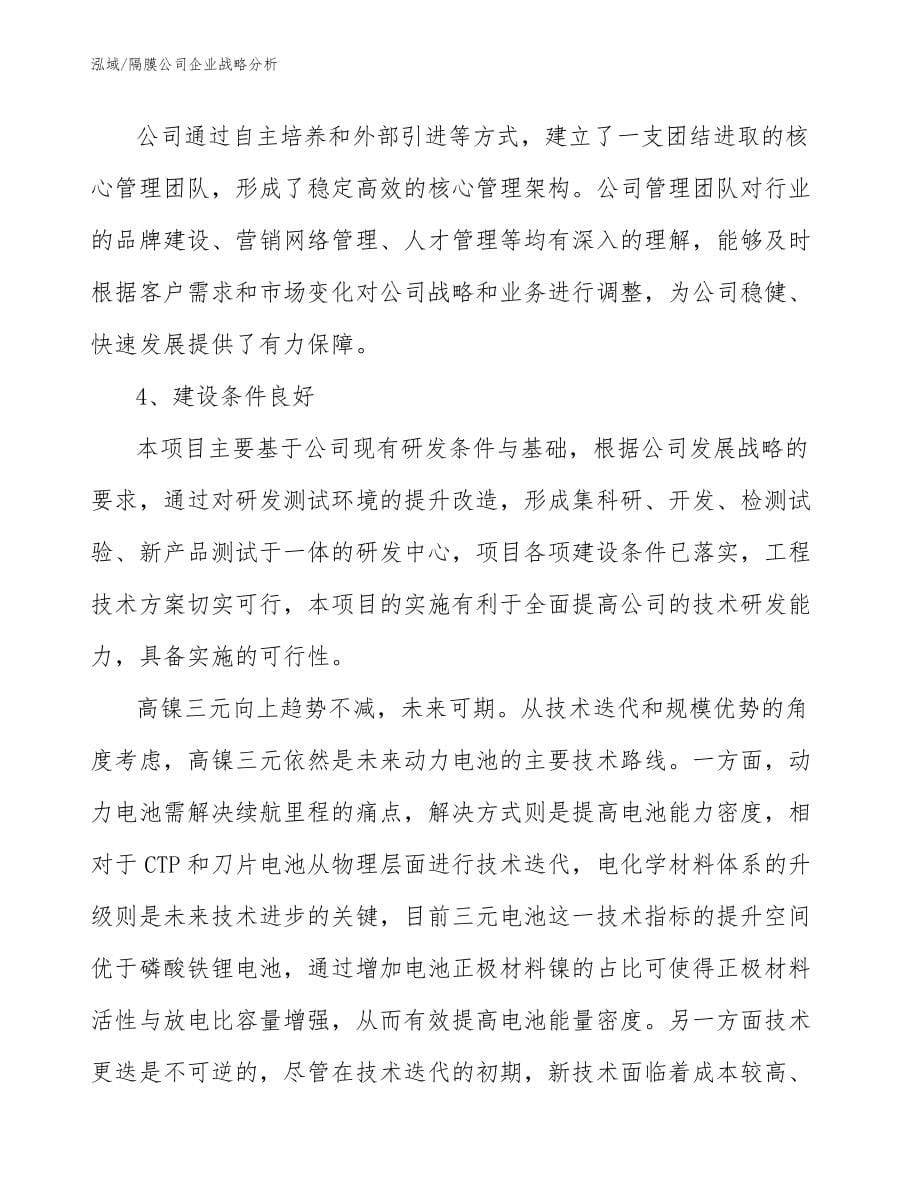 隔膜公司企业战略分析_第5页