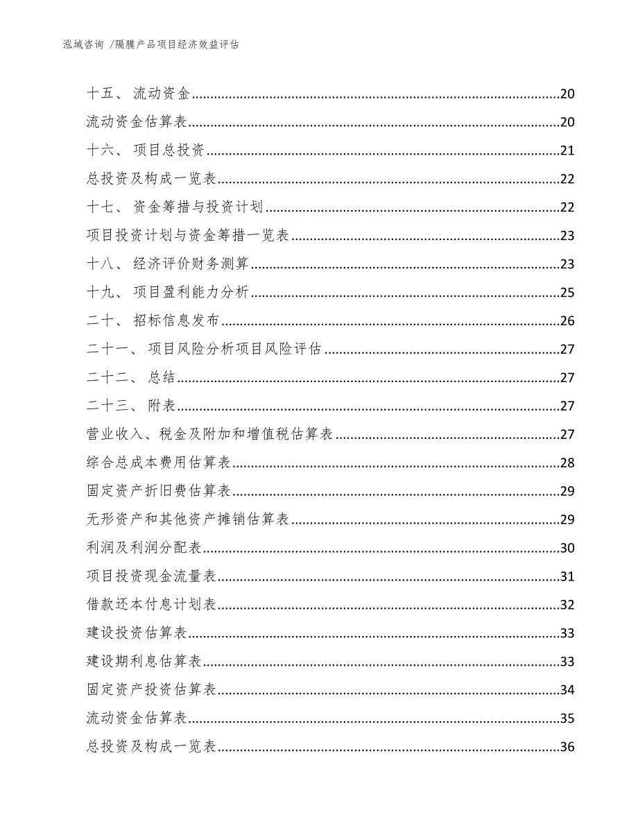 隔膜产品项目经济效益评估_模板_第2页