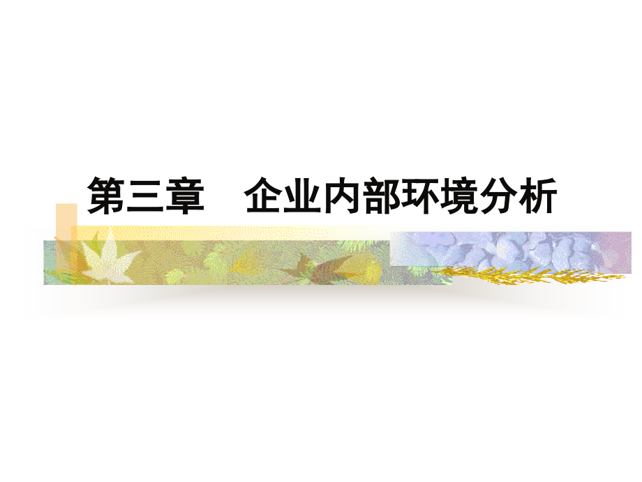 B3企业内部环境分析(本科-3)_第1页