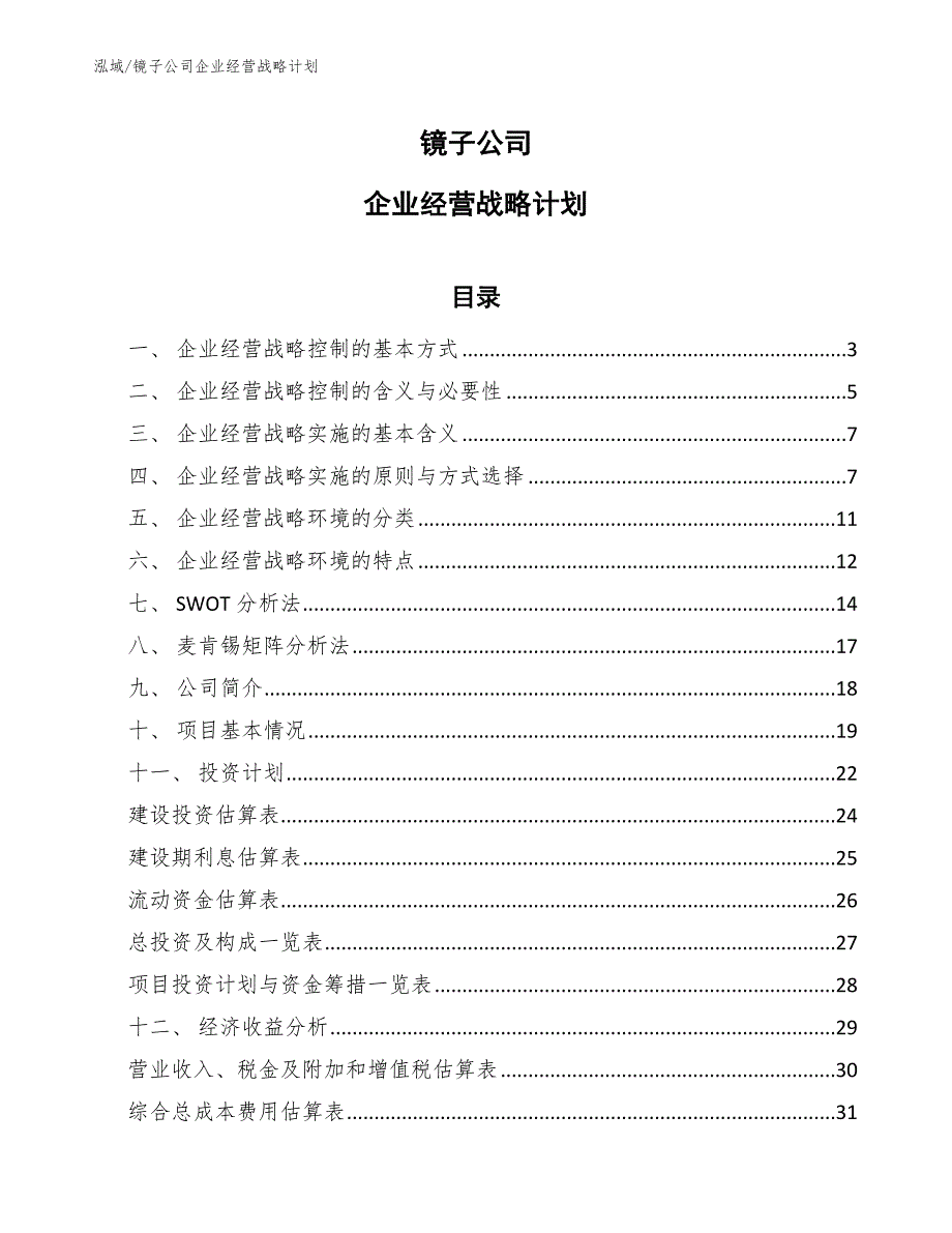 镜子公司企业经营战略计划_范文_第1页