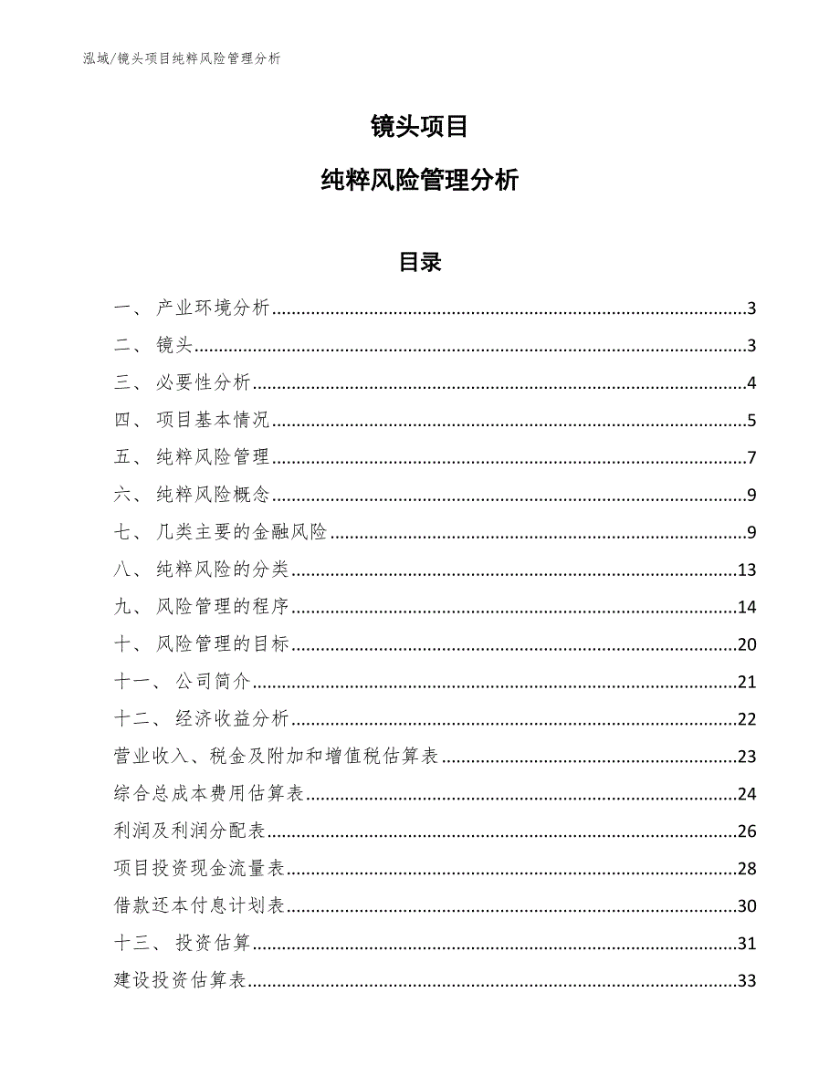 镜头项目纯粹风险管理分析_第1页