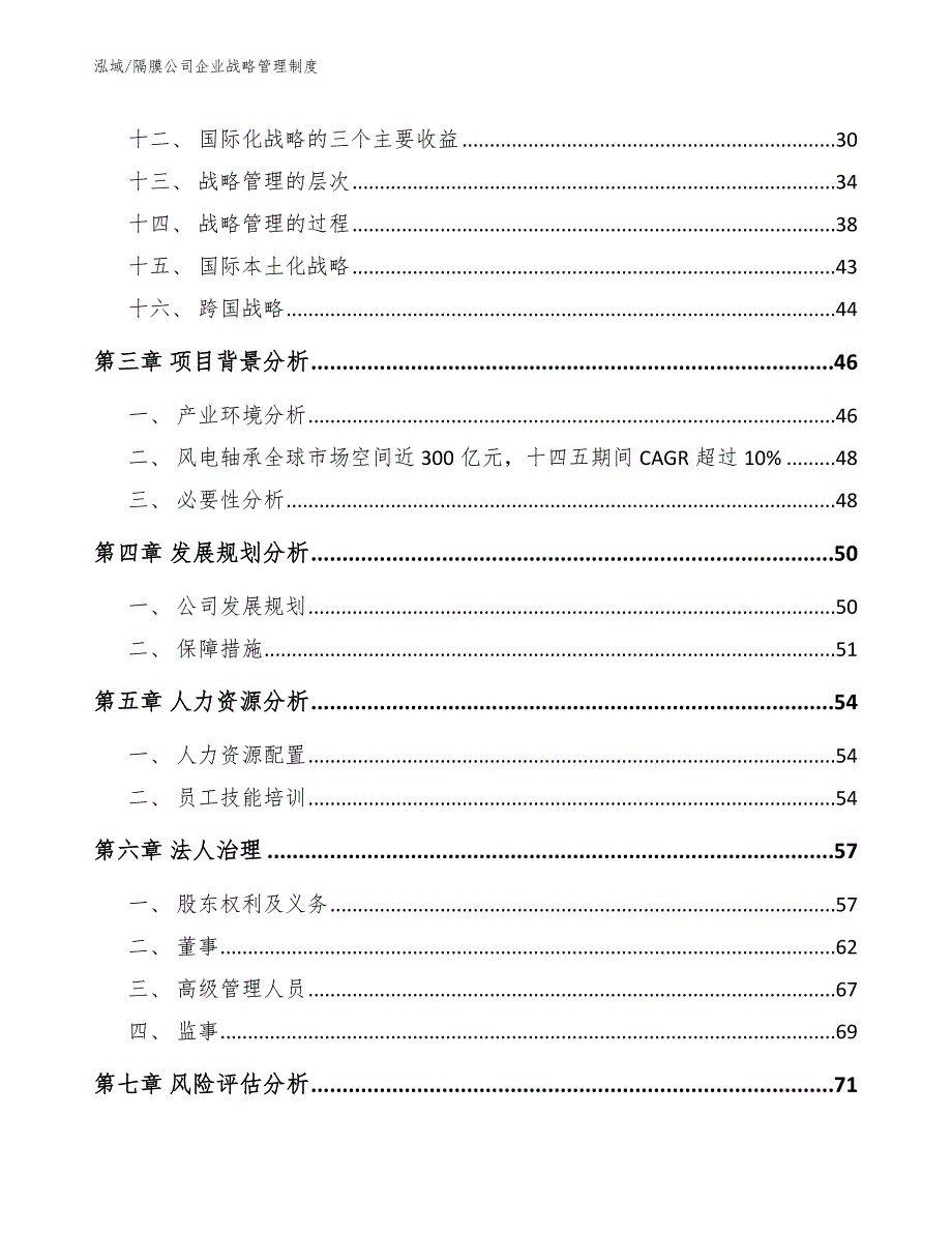 隔膜公司企业战略管理制度_参考_第3页