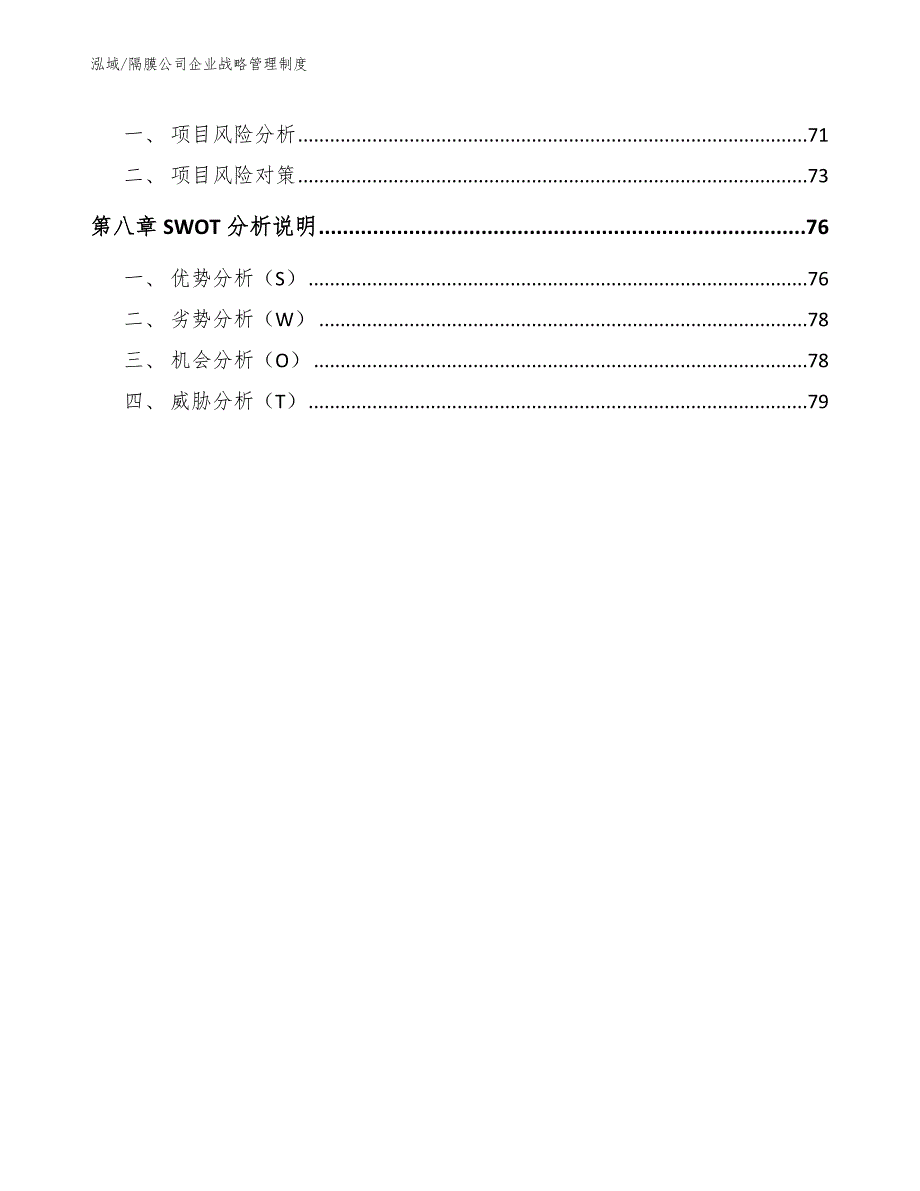 隔膜公司企业战略管理制度_参考_第4页