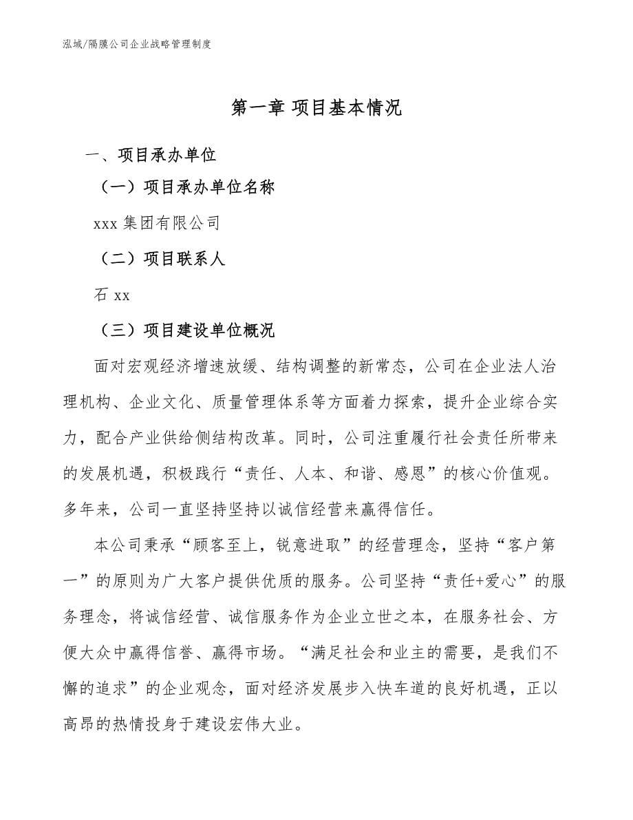 隔膜公司企业战略管理制度_参考_第5页