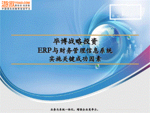 ERP与财务管理信息系统实施关键成功因素某咨询(PPT)