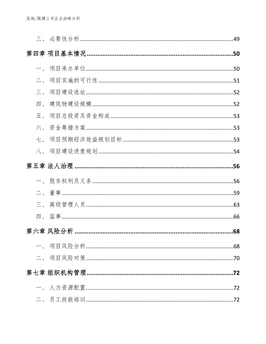 隔膜公司企业战略分析_参考_第2页