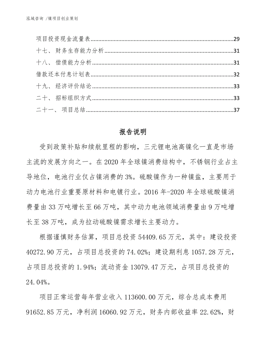 镍项目创业策划_模板参考_第2页