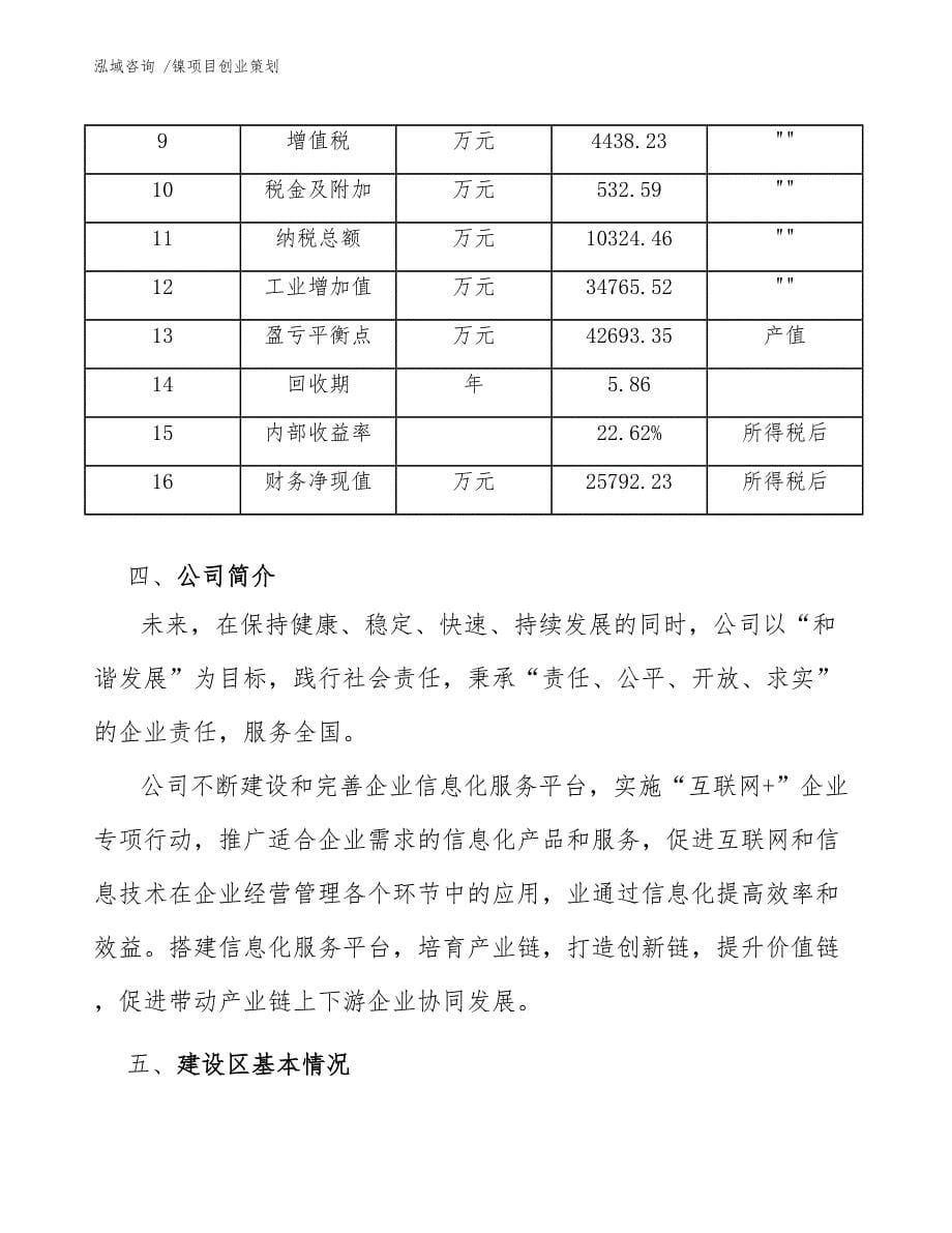 镍项目创业策划_模板参考_第5页