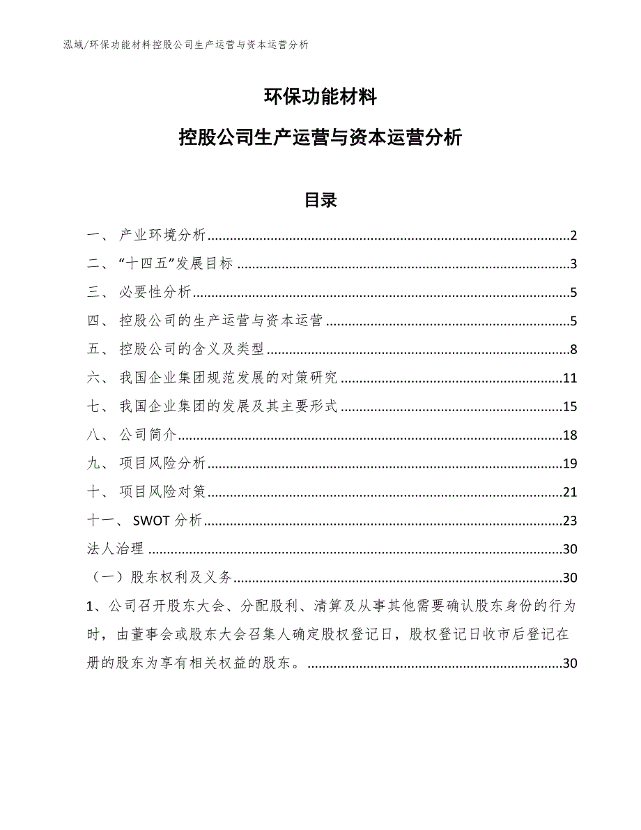 环保功能材料控股公司生产运营与资本运营分析_范文_第1页