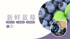 紫色商务风蓝莓营销策划PPT