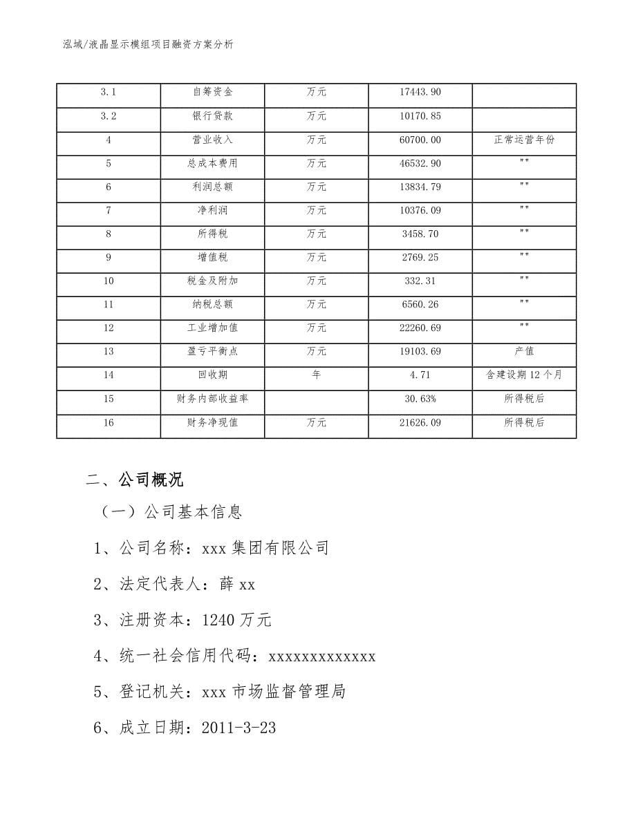 液晶显示模组项目融资方案分析_参考_第5页