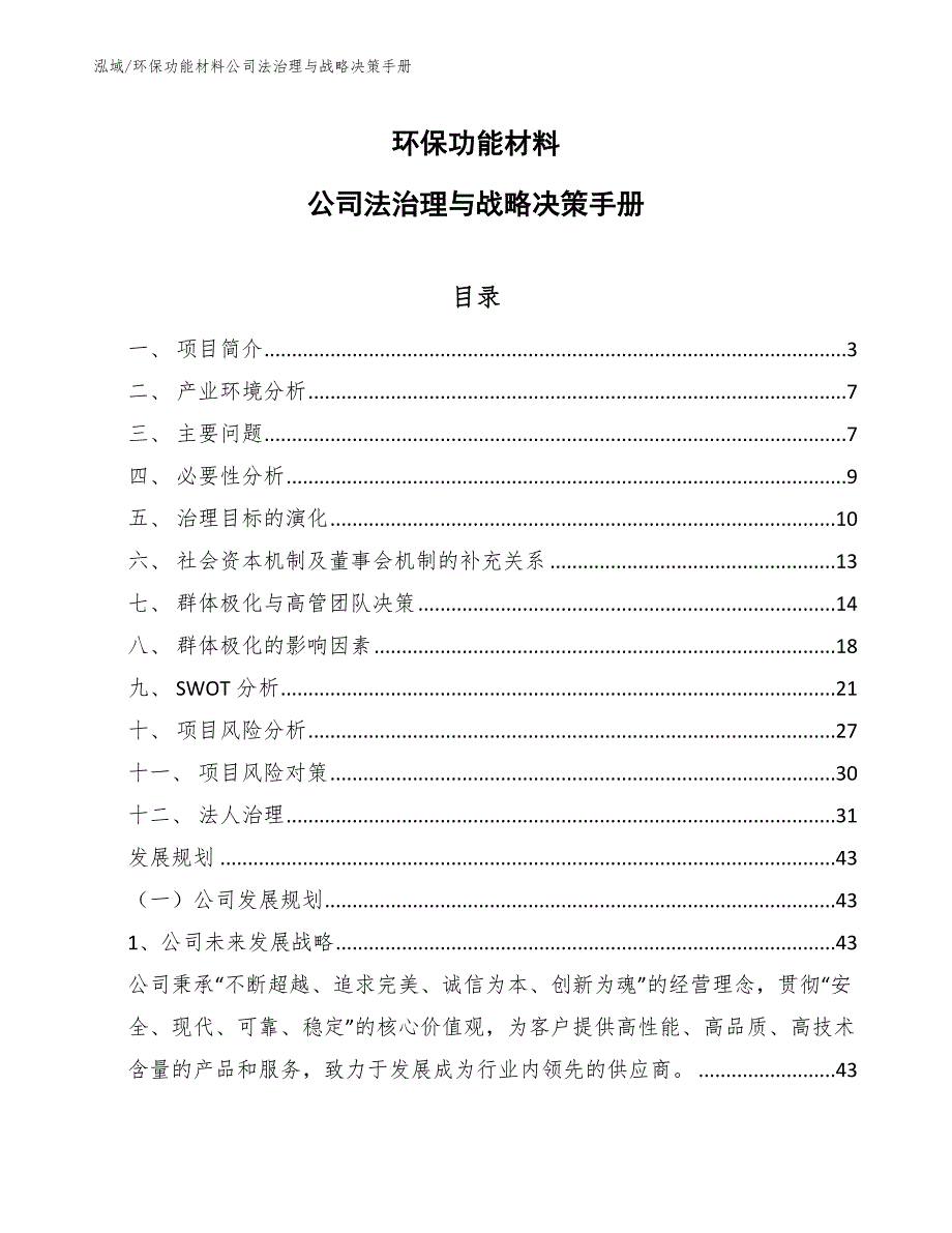 环保功能材料公司法治理与战略决策手册（范文）_第1页