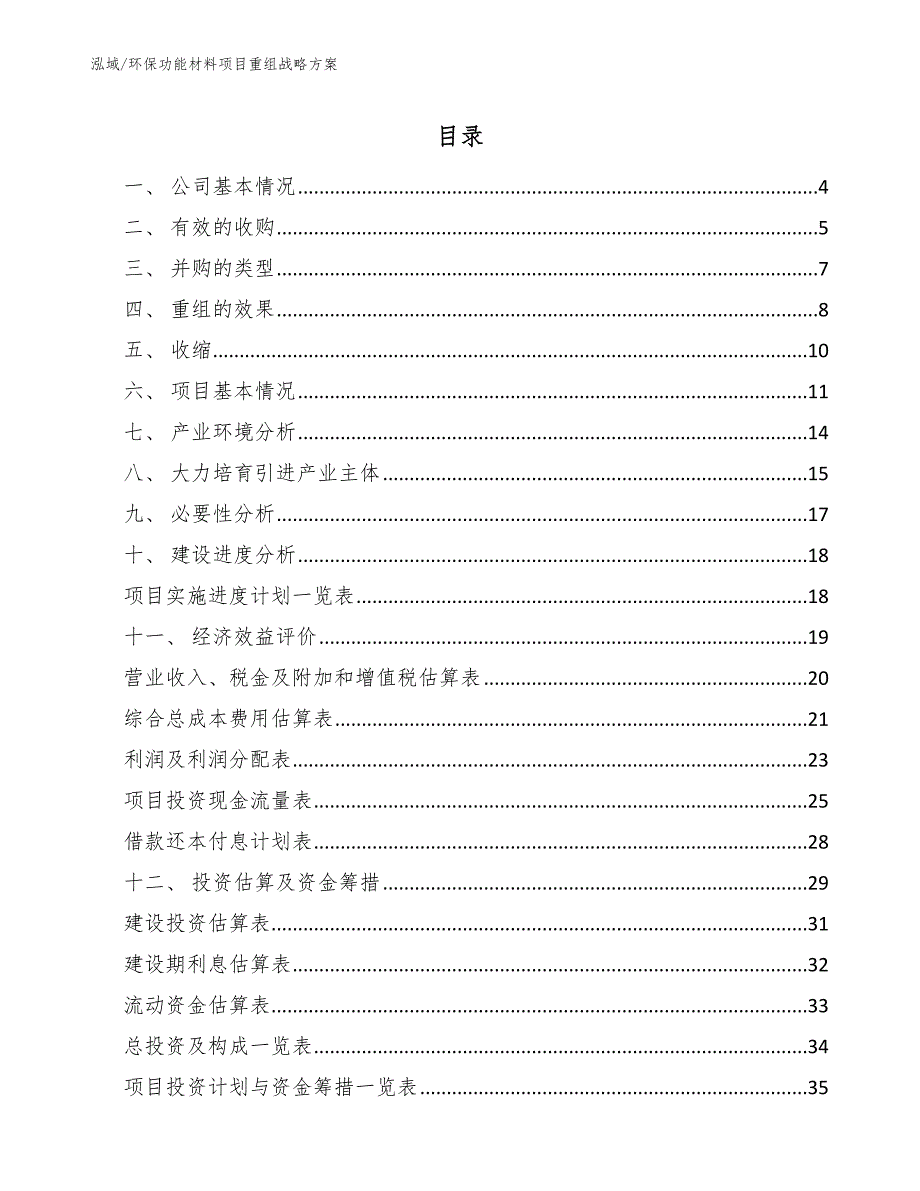 环保功能材料项目重组战略方案_第2页