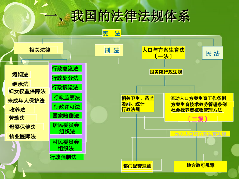 人口计生相关法律法规知识(定稿-XXXX[1][1]717)_第3页