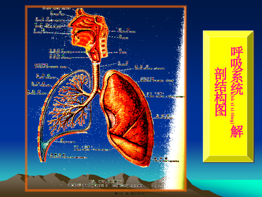 2022年医学专题—第六章呼吸_第1页