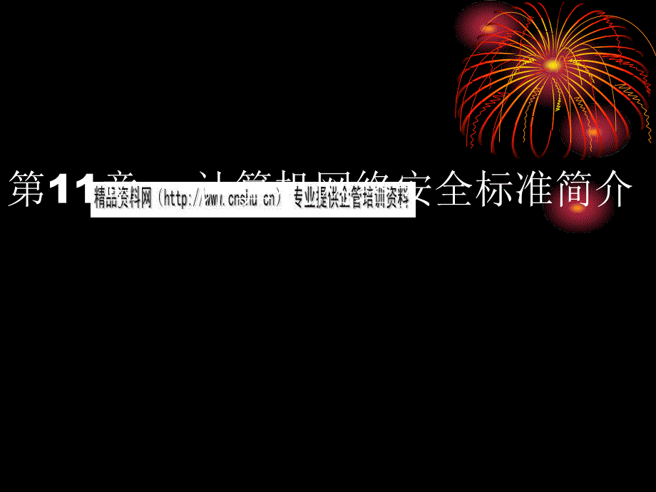 计算机网络安全标准介绍(PPT44页)_第1页