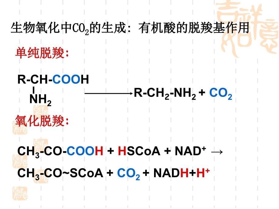 第六章-生物氧化课件_第5页