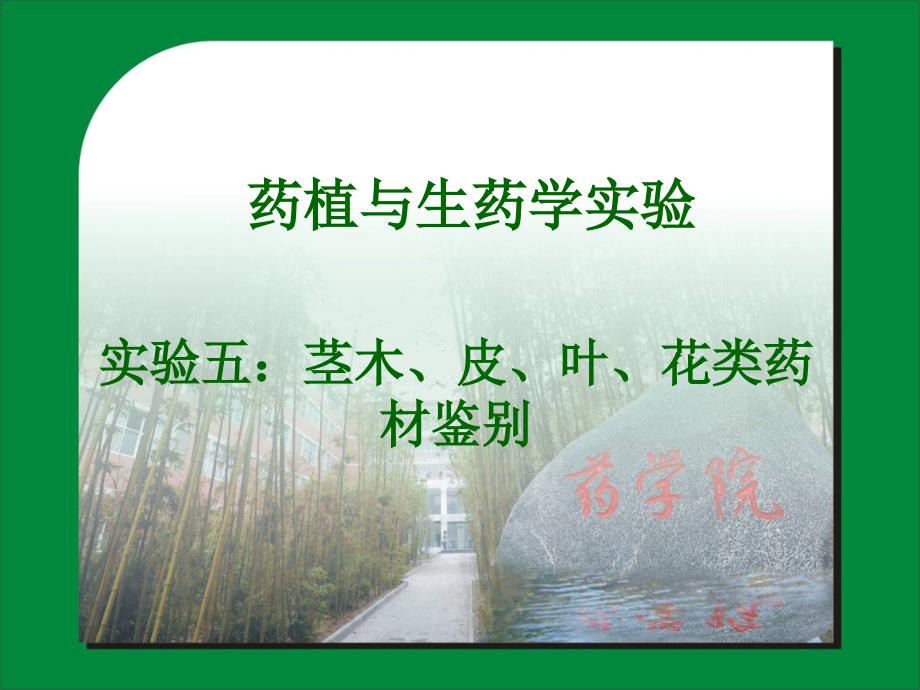 药植与生药-7-茎木课件_第1页