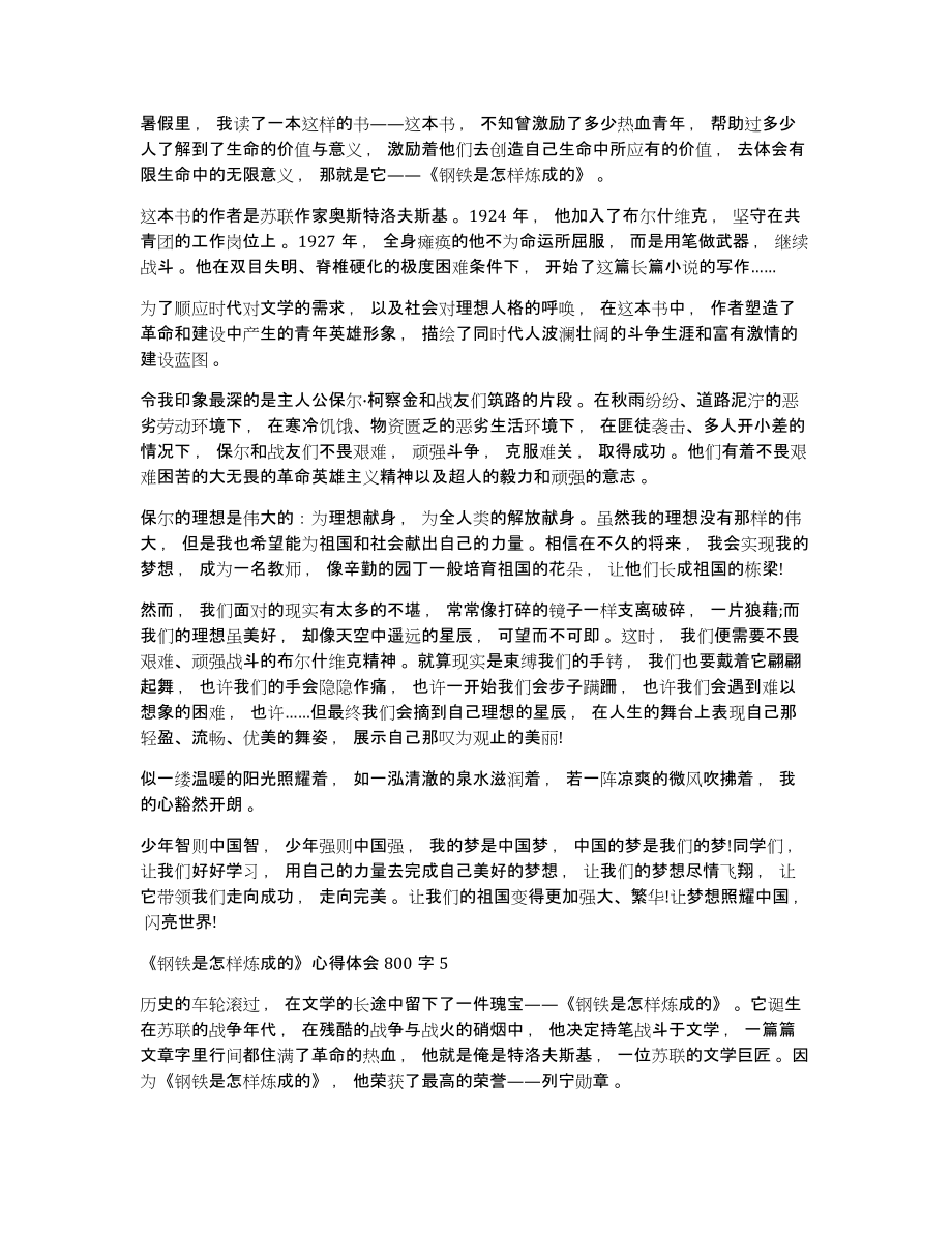 《钢铁是怎样炼成的》心得体会大全5篇800字_第4页