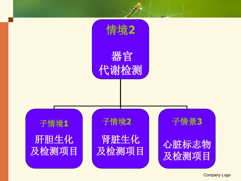 肝胆生化及检测项目课件_第2页