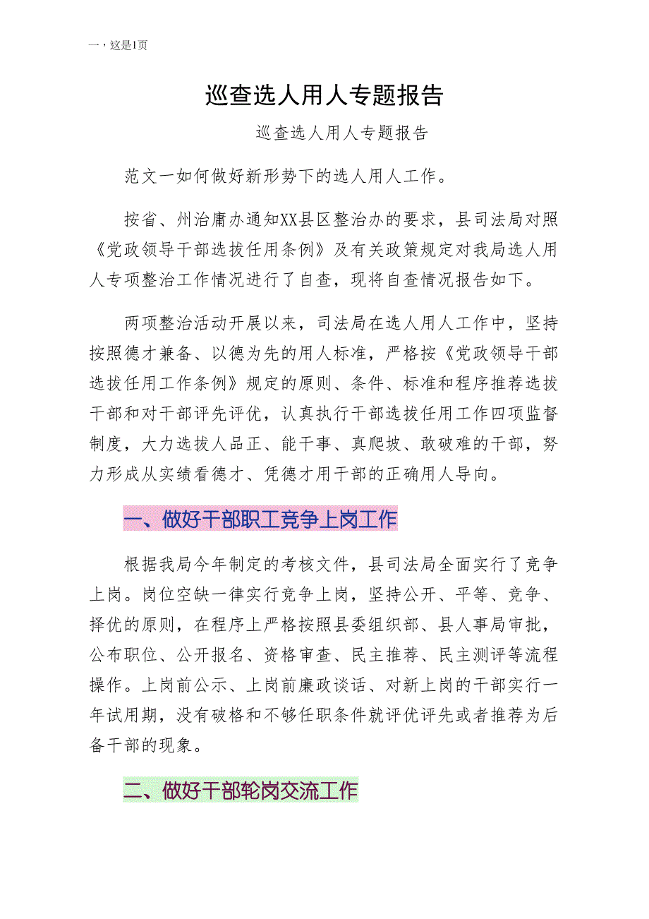 巡查选人用人专题报告参考_第1页