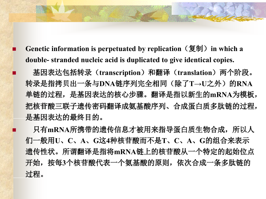 第五章 蛋白质的生物合成 — 翻译课件_第4页