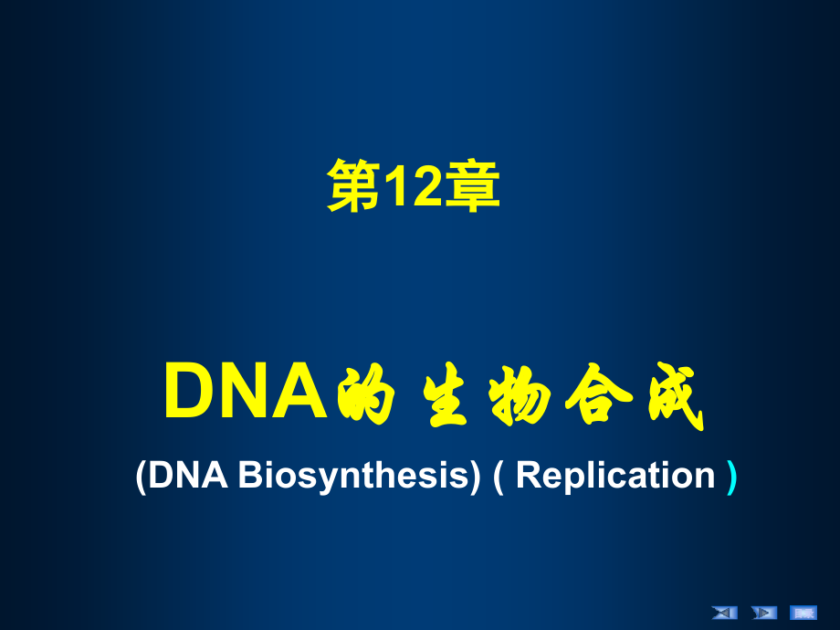 第12章DNA的生物合成（HDN）课件_第3页
