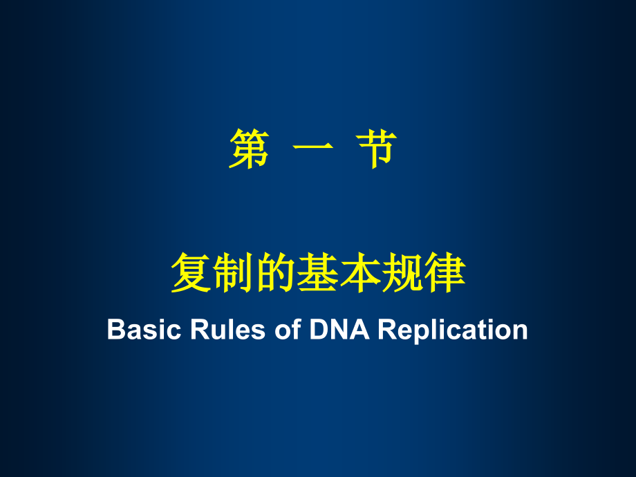 第12章DNA的生物合成（HDN）课件_第5页