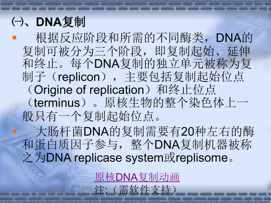 第三讲DNA与RNA的生物合成课件_第4页