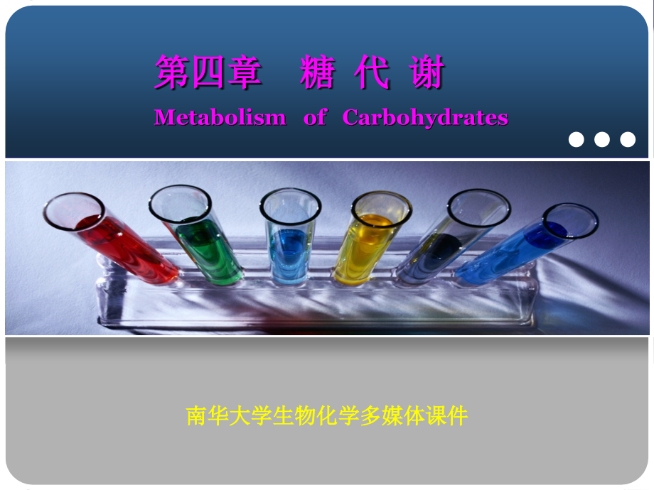 生物化学第4章糖代谢课件_第1页