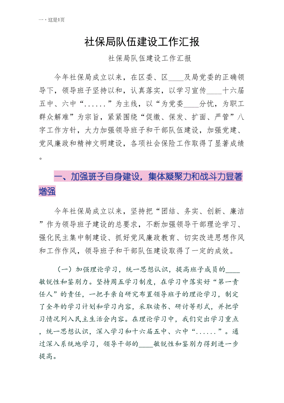 社保局队伍建设工作汇报word版_第1页