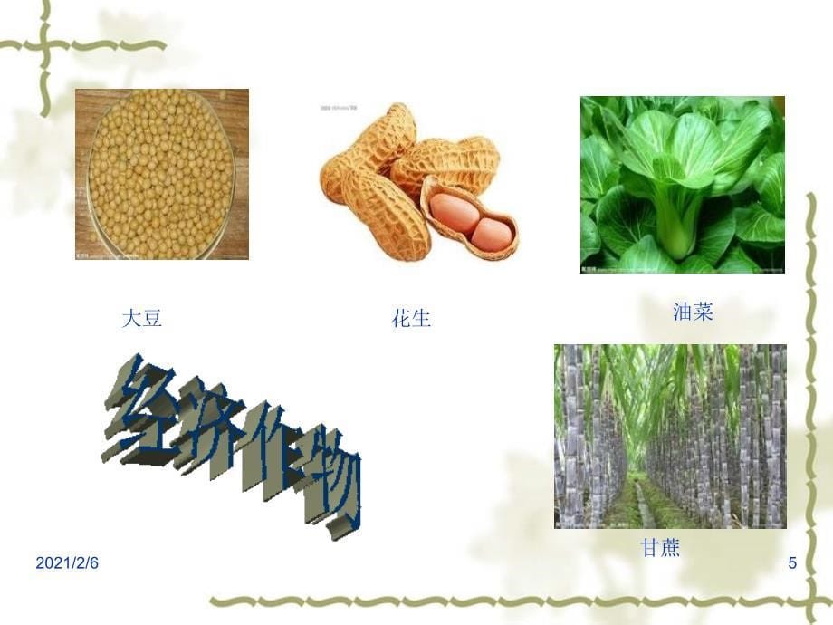 爱惜珍惜粮食课件_第5页