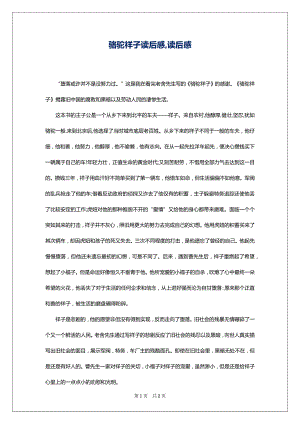 骆驼祥子读后感,读后感