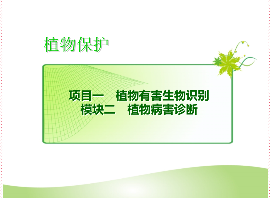 植物病原真菌形态观察课件_第1页