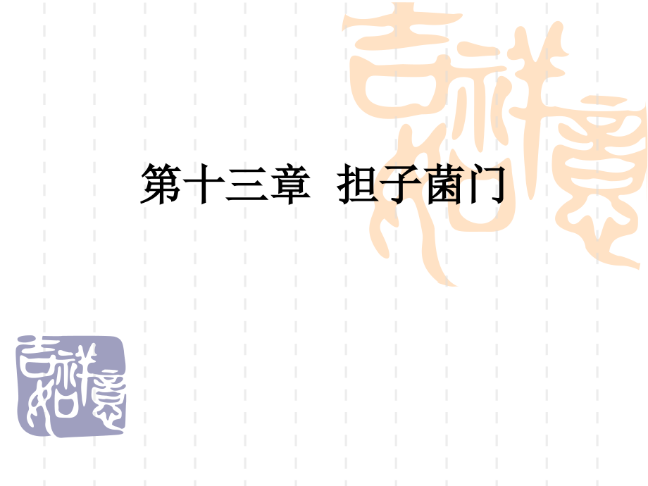 第13章担子菌门new课件_第1页