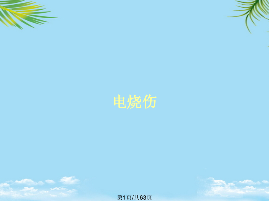 电烧伤PPT全面版课件_第1页