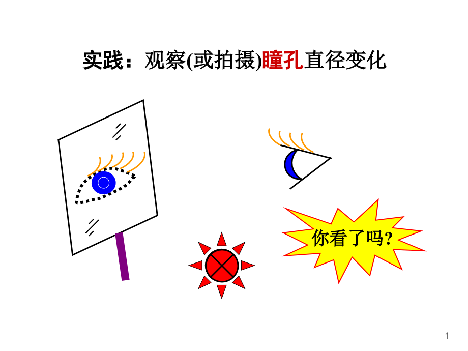 医学ppt课件视觉神经生理学_第1页