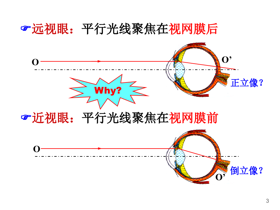 医学ppt课件视觉神经生理学_第3页