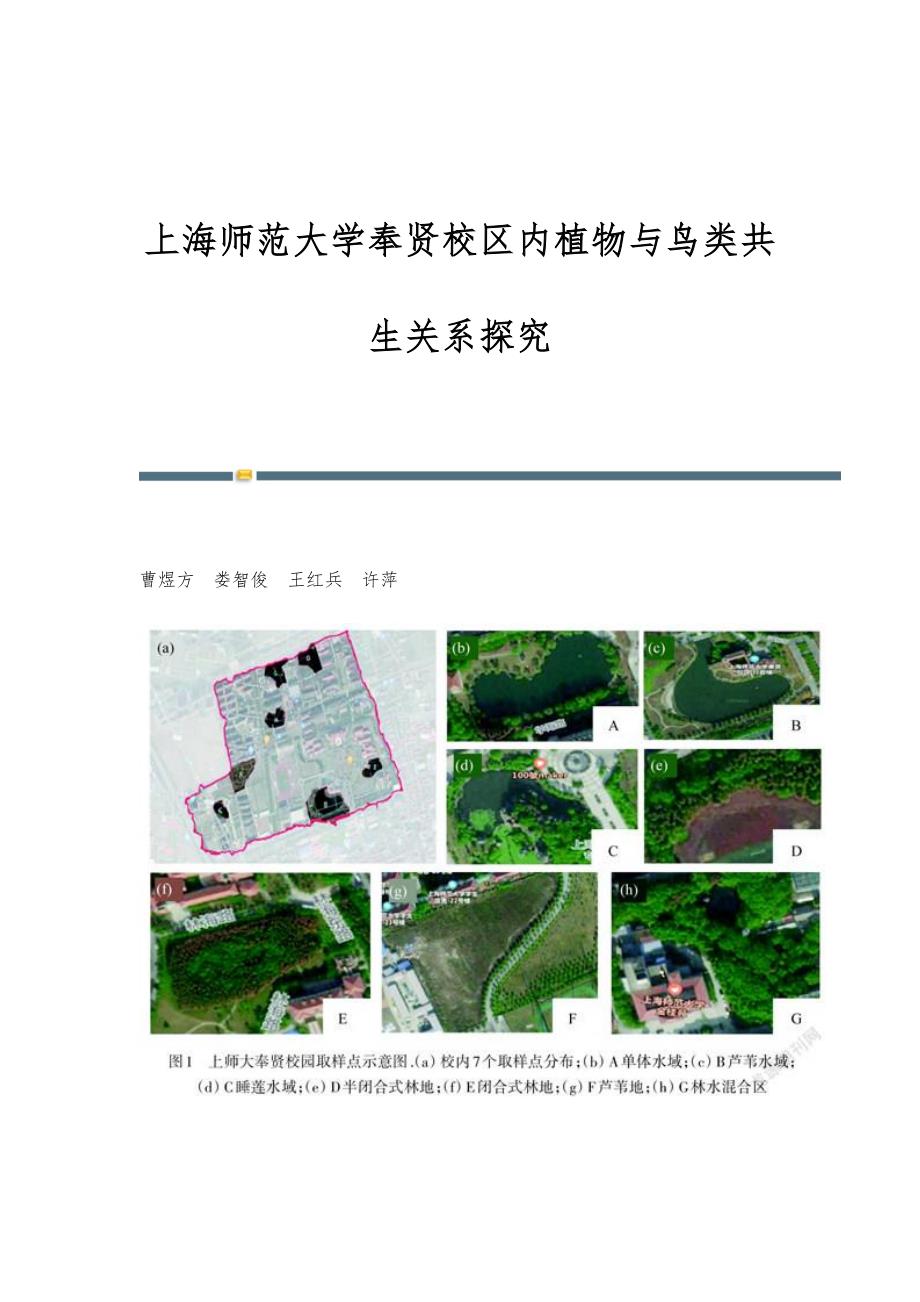 上海师范大学奉贤校区内植物与鸟类共生关系探究_第1页