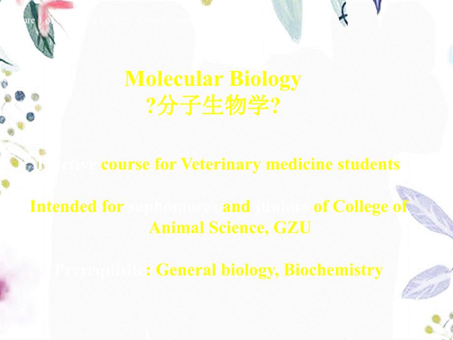 2022年绪论 分子生物学（教学课件）_第3页