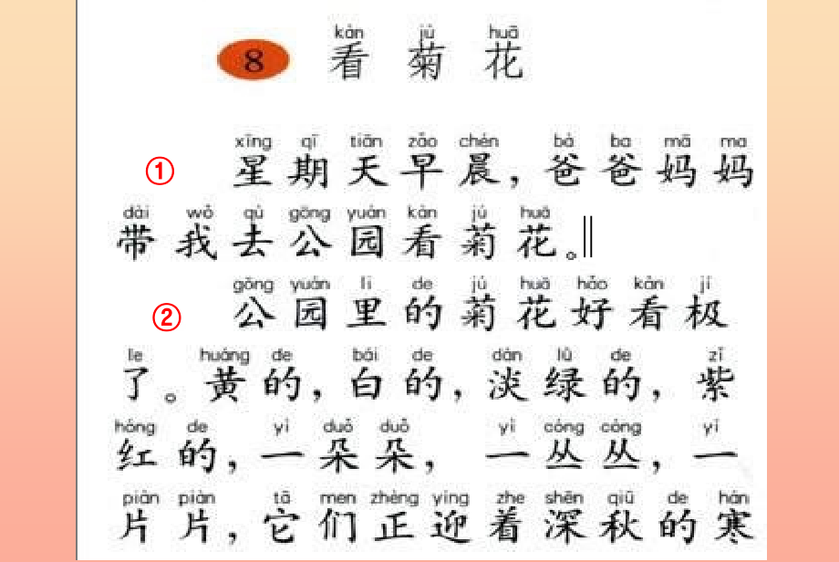 一年级语文上册-课文6-看菊花课件3-苏教版_第4页