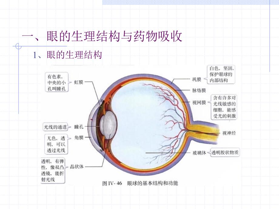 作为滴眼剂给药;B水凝胶粘附在角膜表面课件_第2页