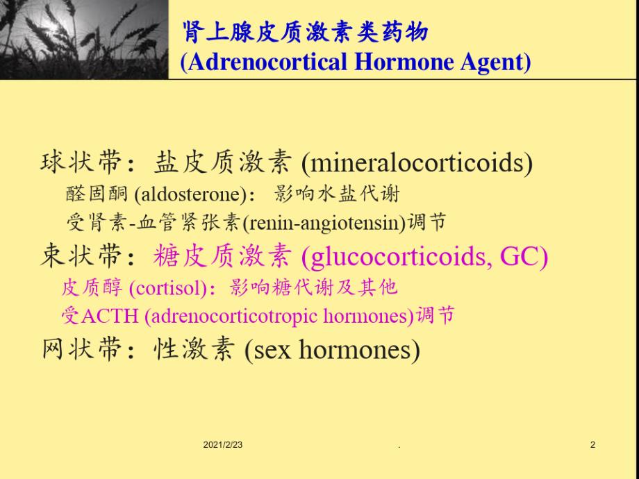 08肾上腺皮质激素(复习)PPT课件_第2页